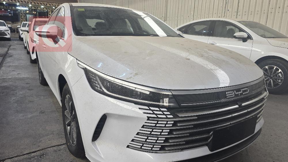 بي واي دي ديستروير 05